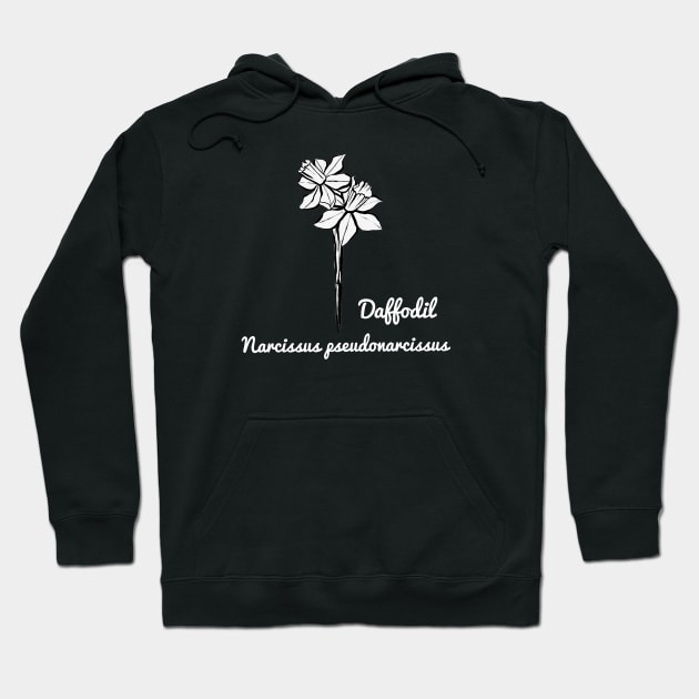 Daffodil flower drawing Hoodie by Art by Taya 